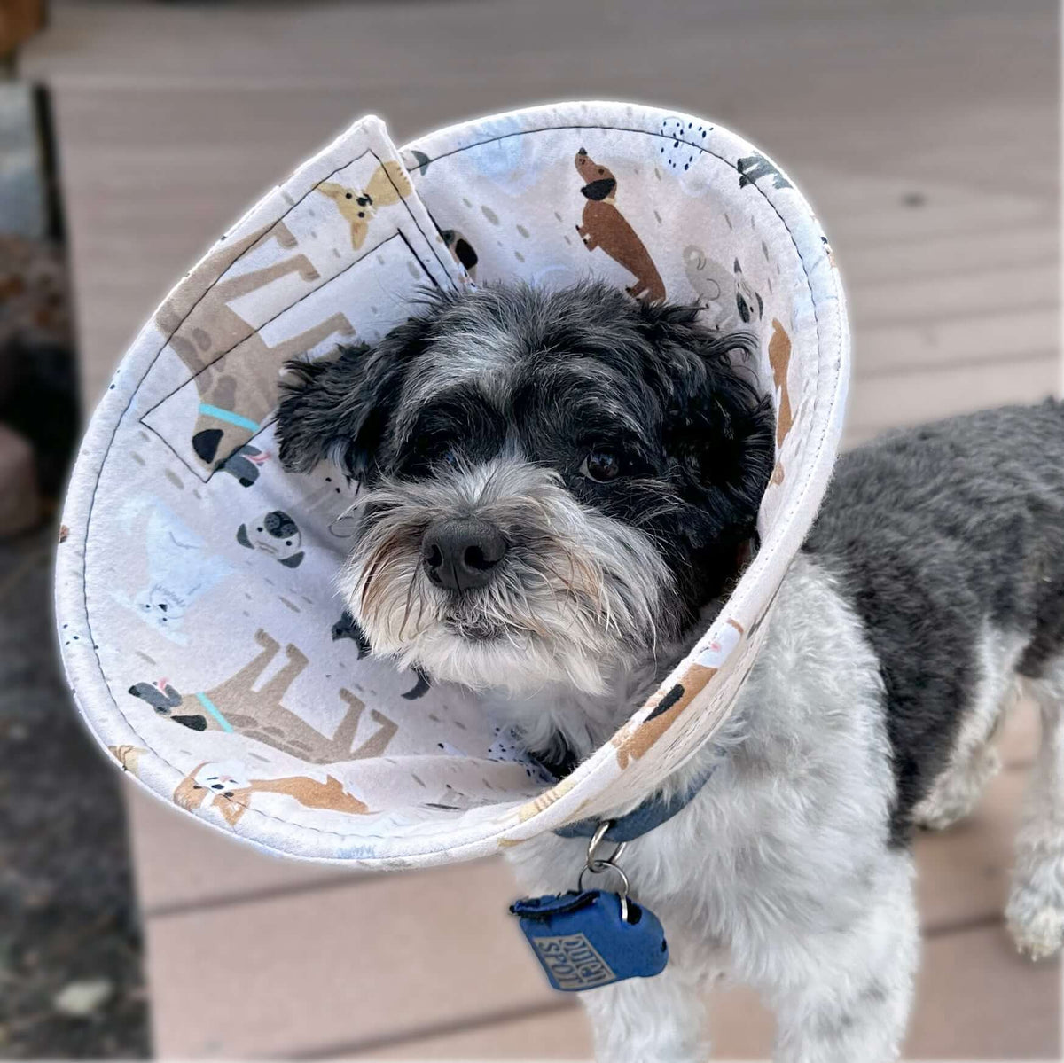 All Good Dogs - Flannel & Foam Soft Dog Cone