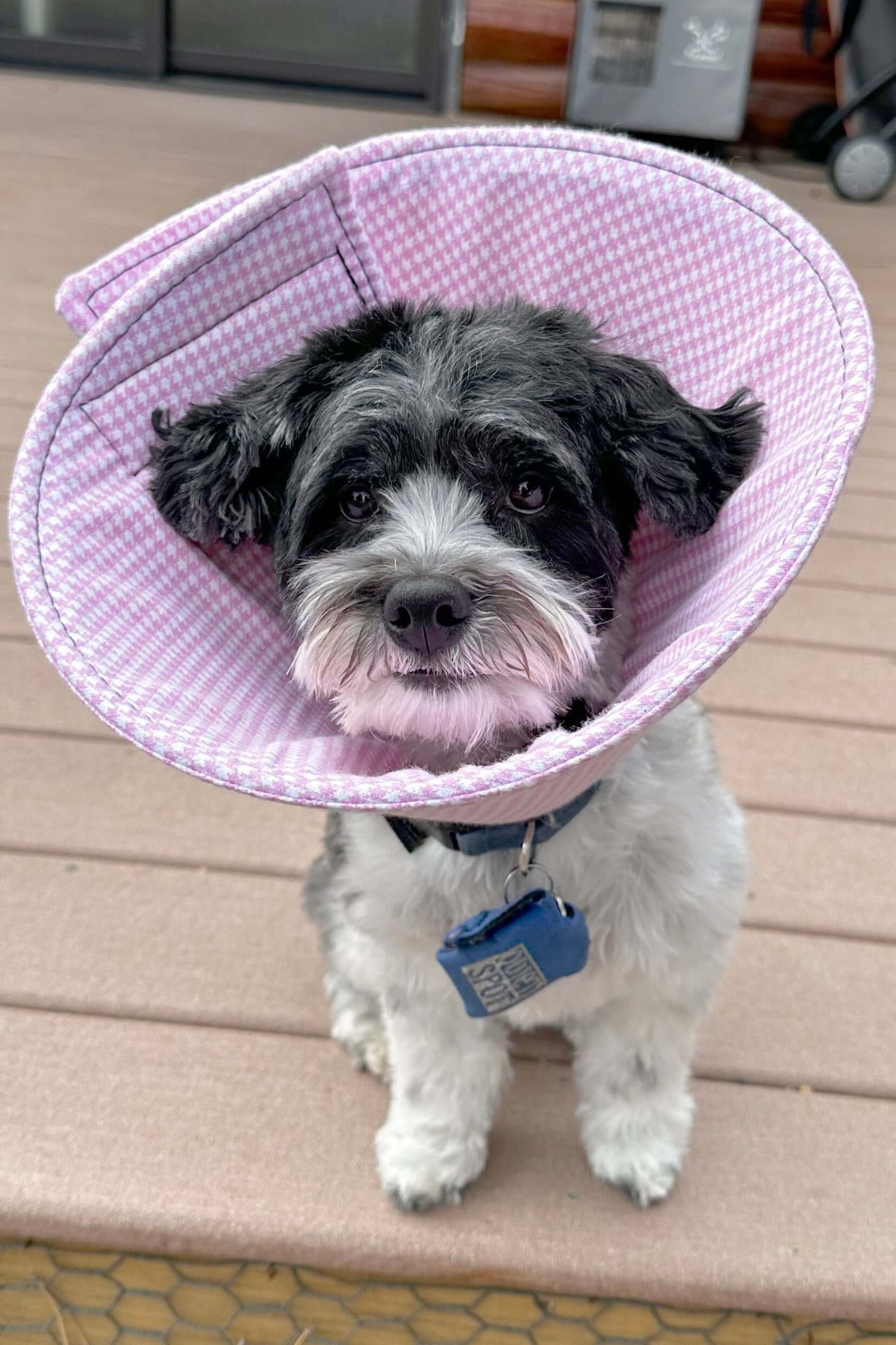 Pink Houndstooth - Flannel & Foam Soft Dog Cone