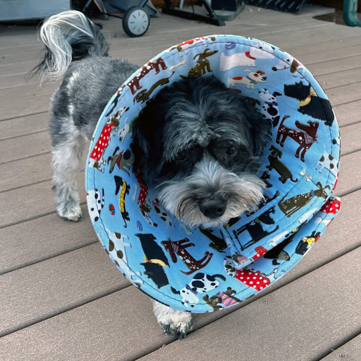 Blue Dog Park - Flannel & Foam Soft Dog Cone