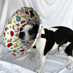 Soft Dog cone in bright bug print flannel fabric with adjustable Velcro closure.