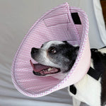 Dog in a soft dog cone flannel recovery cone in a pink houndstooth fabric
