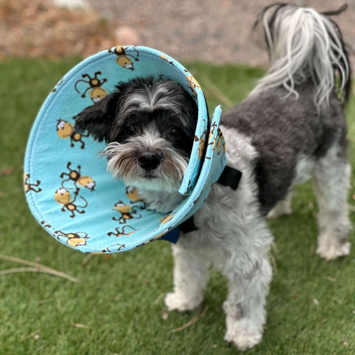 Monkeys - Flannel & Foam Soft Dog Cone