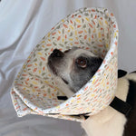 Dog in a soft dog cone flannel recovery cone in a leaf print